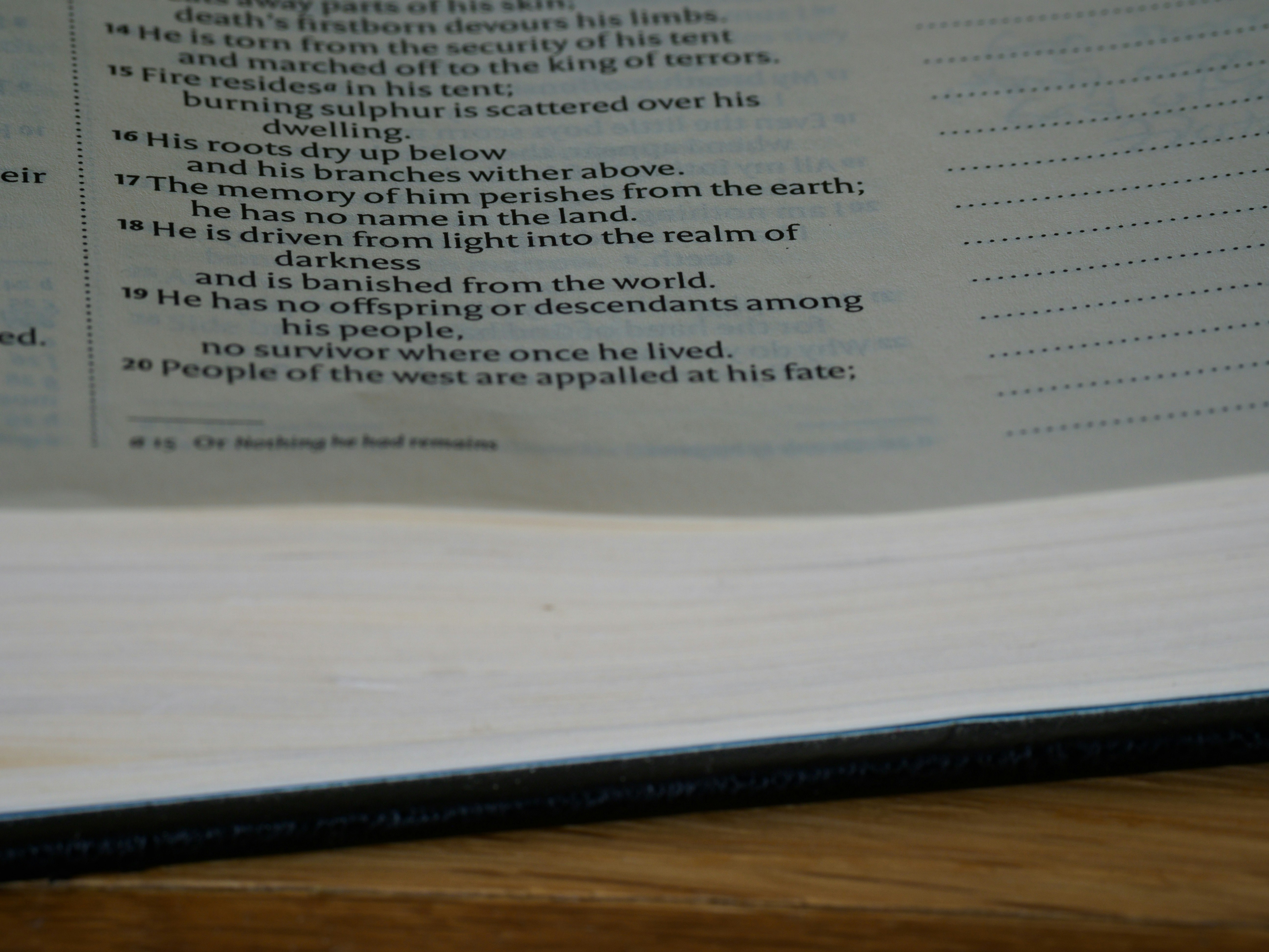 Photo by brett_jordan