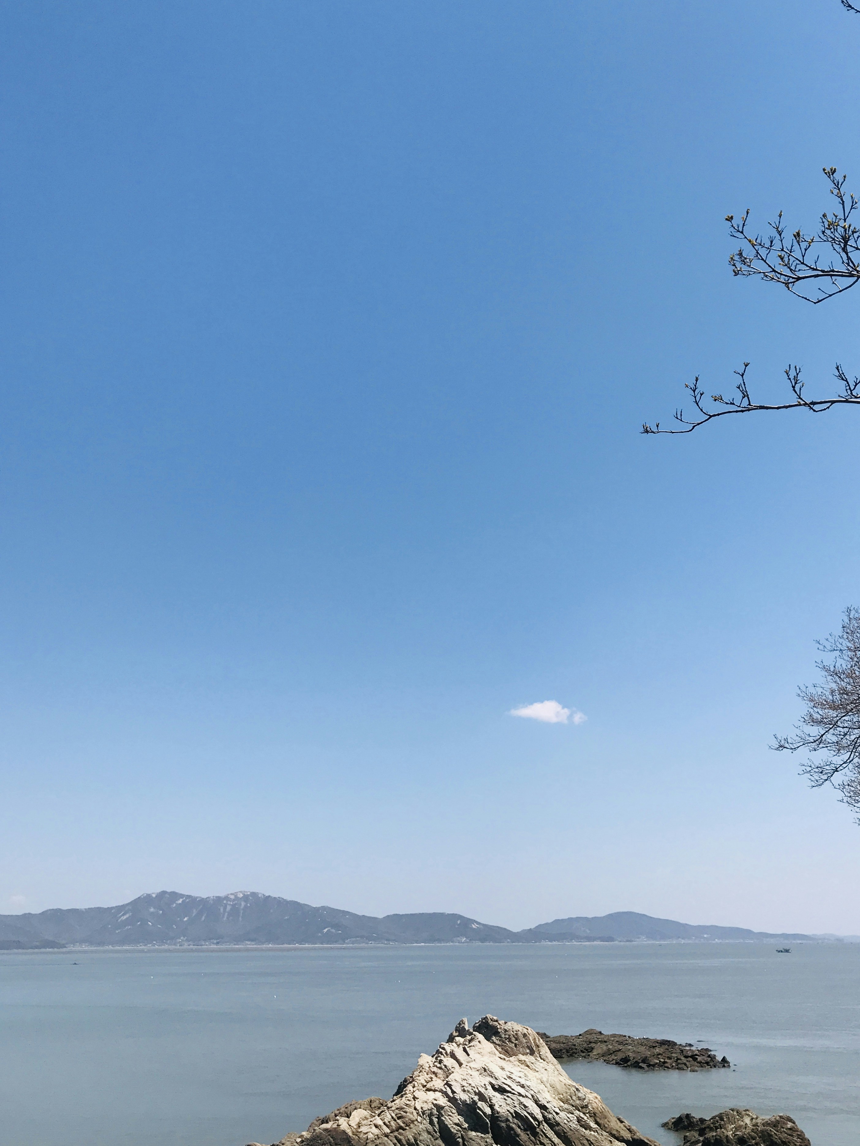 Photo by happyarmy