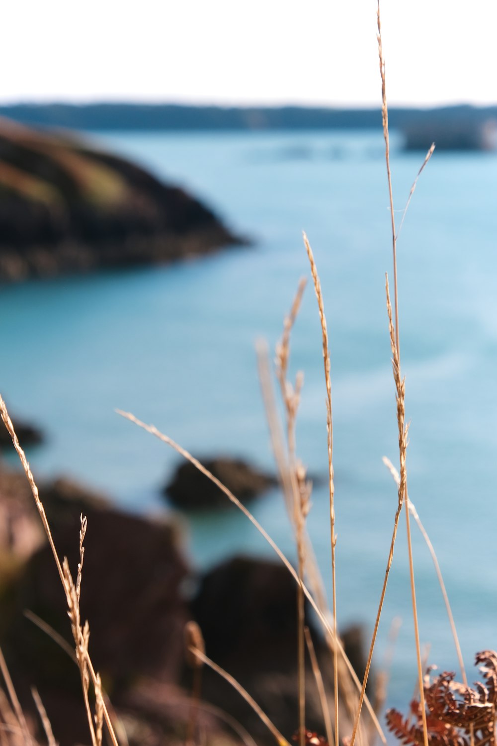 a view of a body of water from a hill