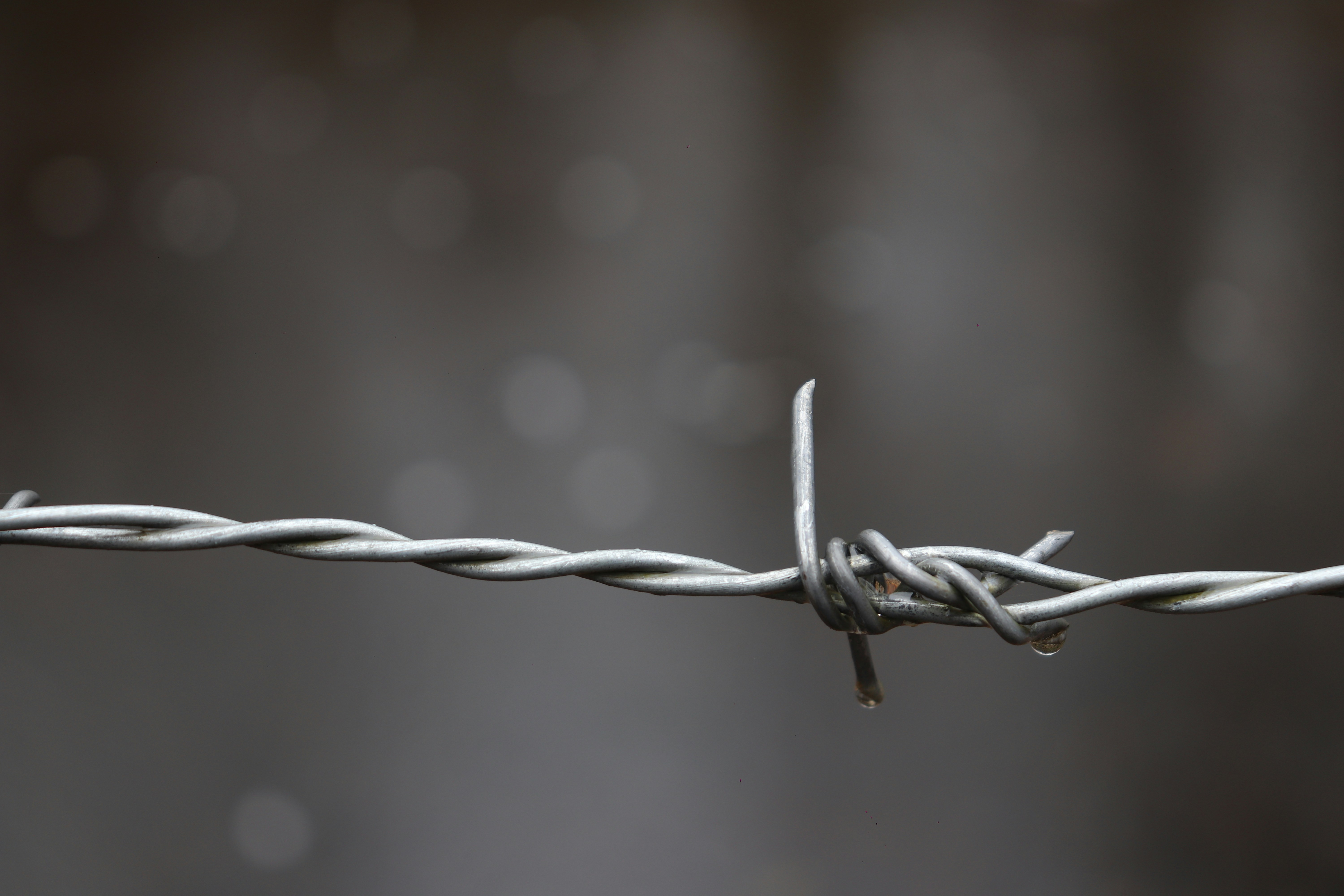 Photo by foolishdevotee