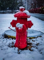a red fire hydrant is covered in snow