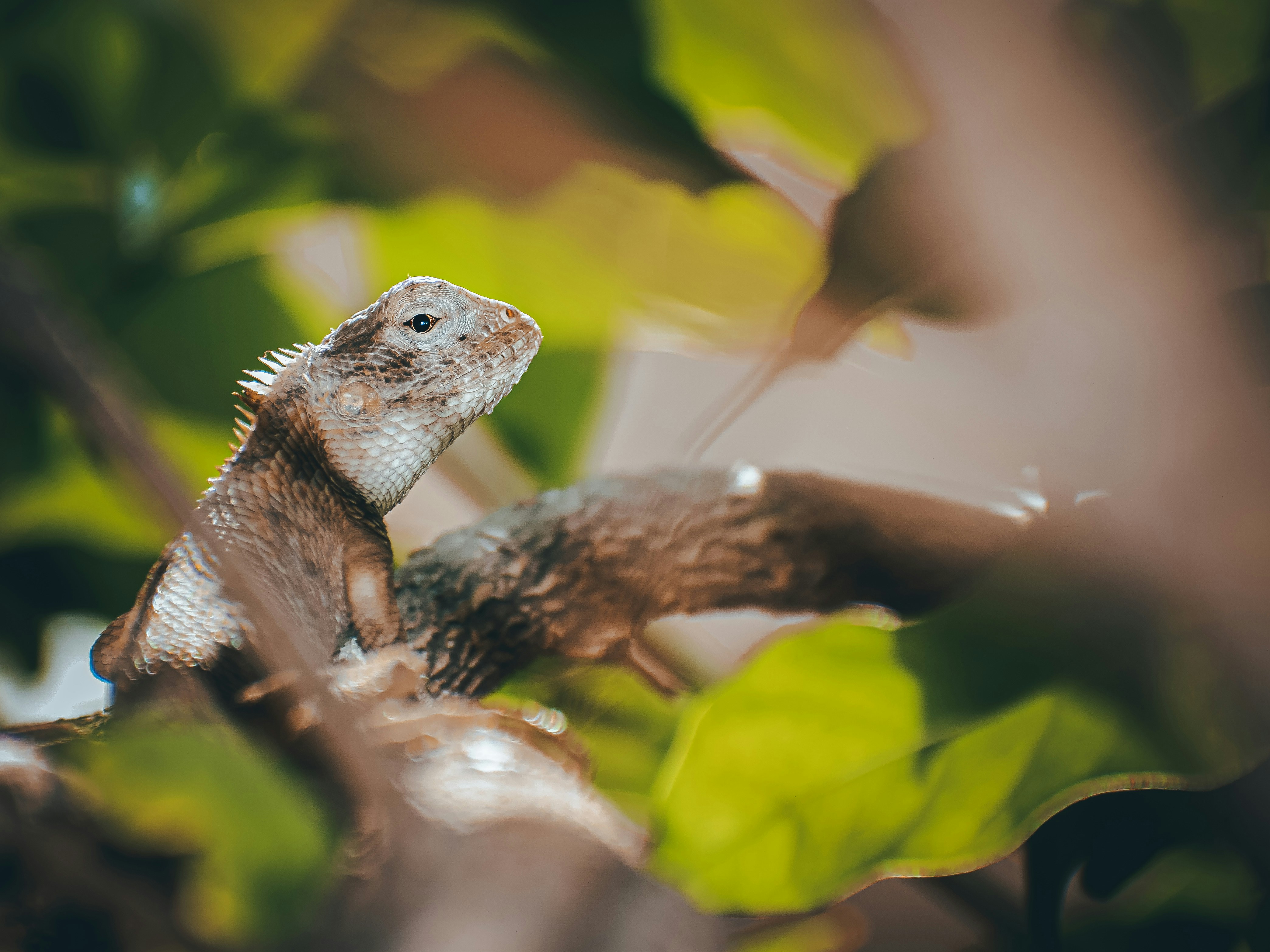 Photo by thebugadi