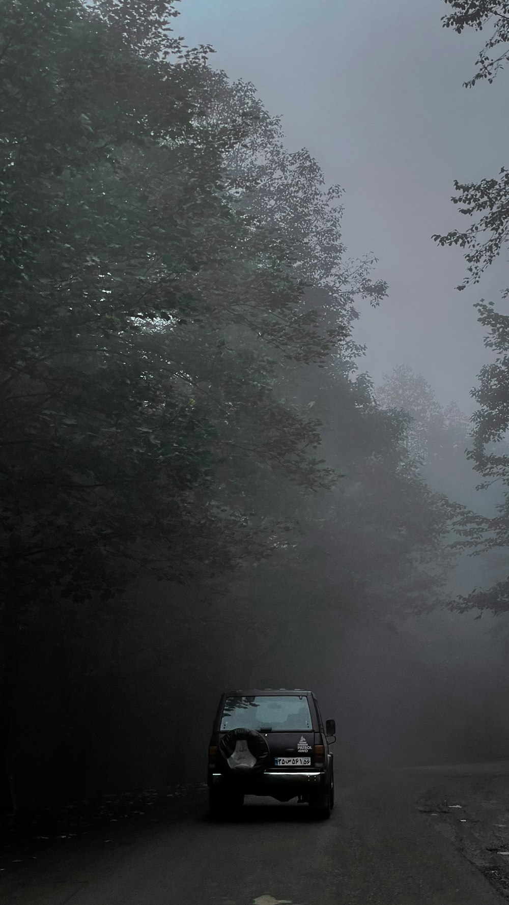 a car driving down a foggy road in the woods