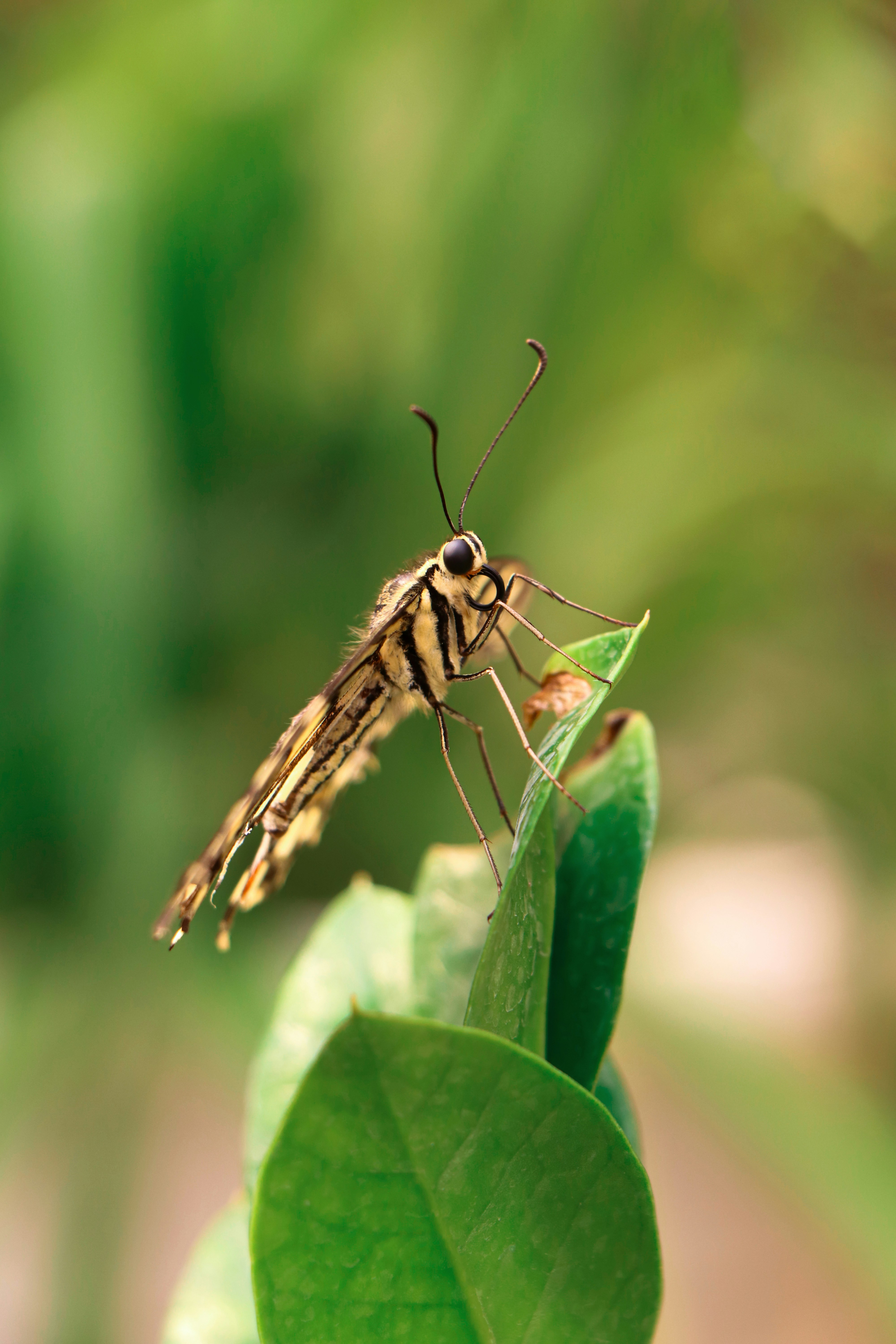 Photo by 902825hanaw