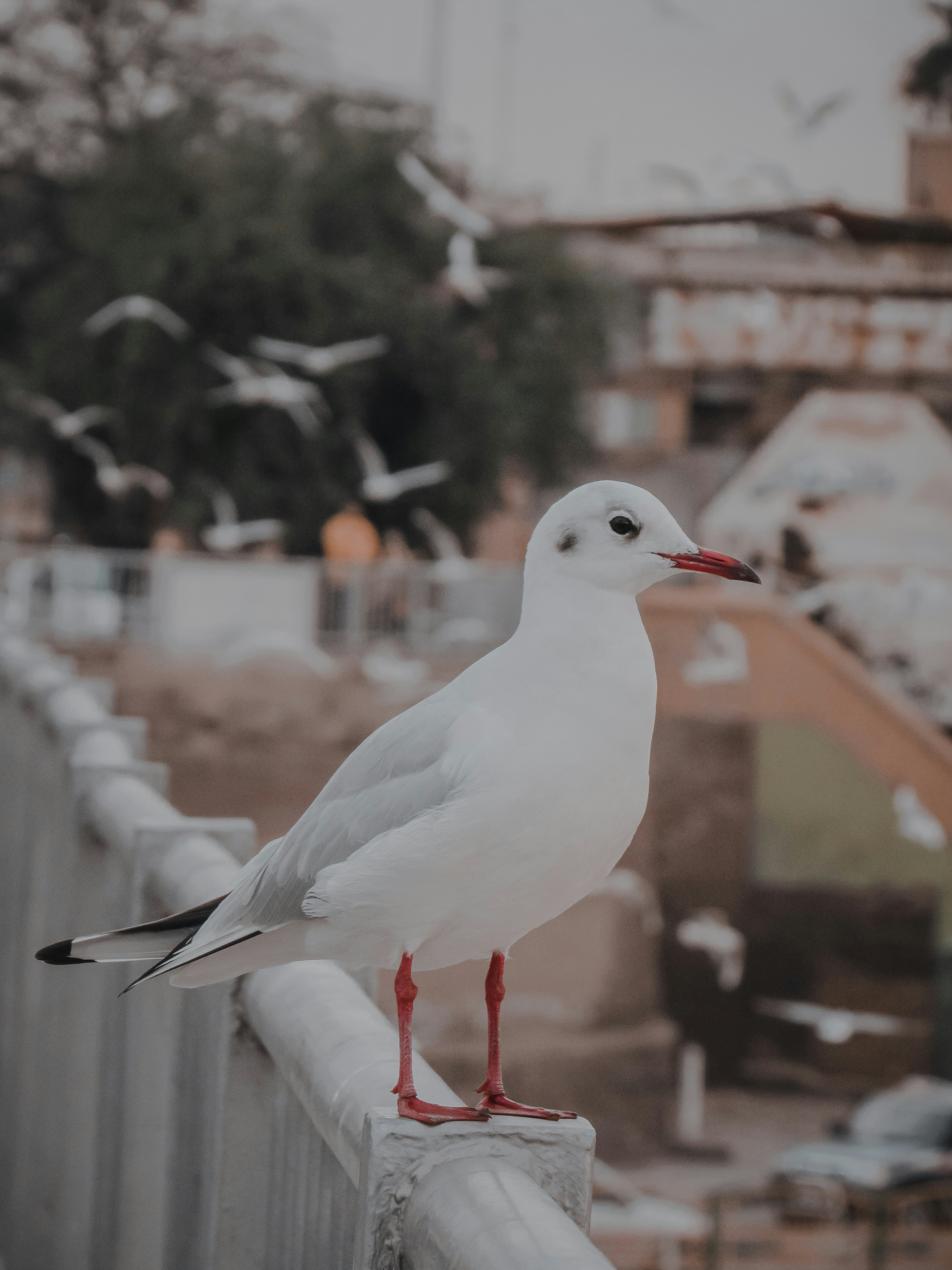 Haj Parso (@parso4) | Unsplash Photo Community