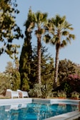 A peaceful outdoor pool surrounded by lush greenery and comfortable lounge chairs.