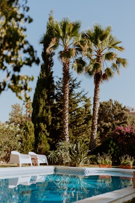 A peaceful outdoor pool surrounded by lush greenery and comfortable lounge chairs.