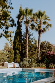 A tranquil outdoor scene featuring a swimming pool surrounded by lush greenery and tall palm trees. White lounge chairs are placed by the poolside, offering a relaxing spot under the clear blue sky. The water in the pool reflects the surrounding foliage.