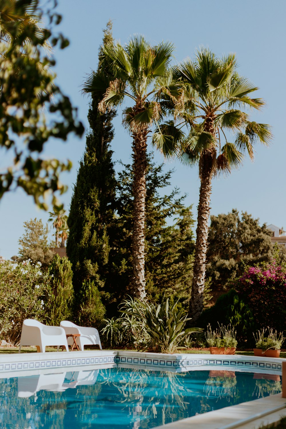 a swimming pool with chairs and palm trees in the background