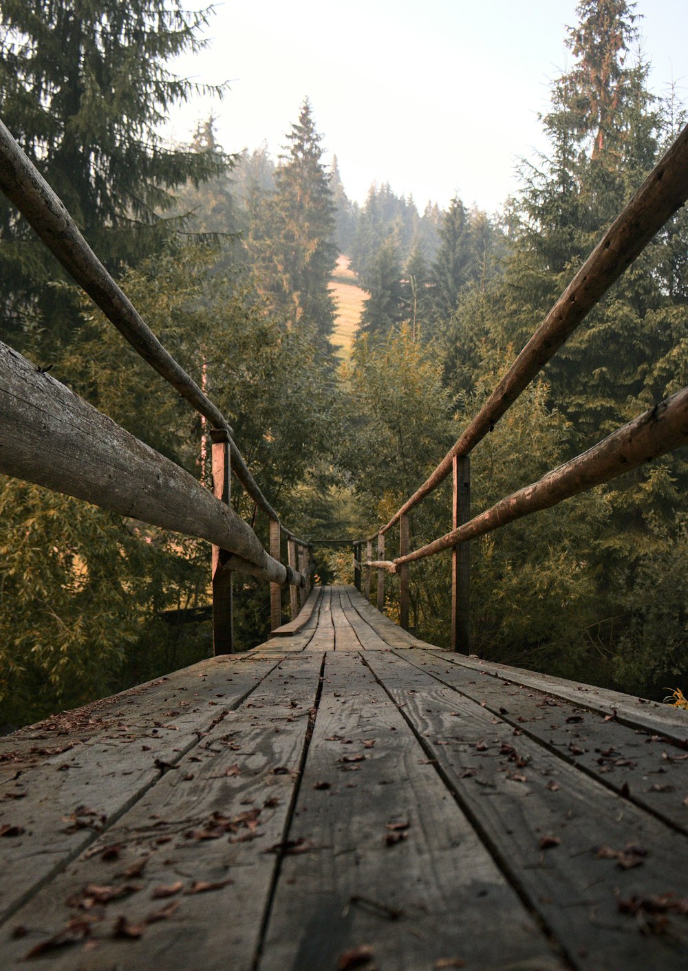 a wooden bridge surrounded by lots of trees