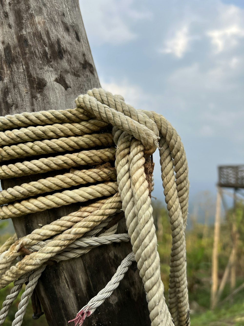 a close up of a rope on a wooden pole