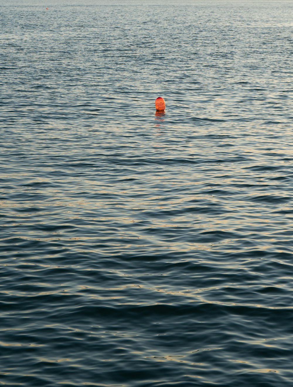 a boat floating on a body of water