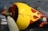 A close-up of a vintage aircraft's propeller area, featuring a yellow and black paint scheme with red flames. The aircraft is inside a hangar with industrial lighting. The propeller is metallic, and rivets are visible on the fuselage.