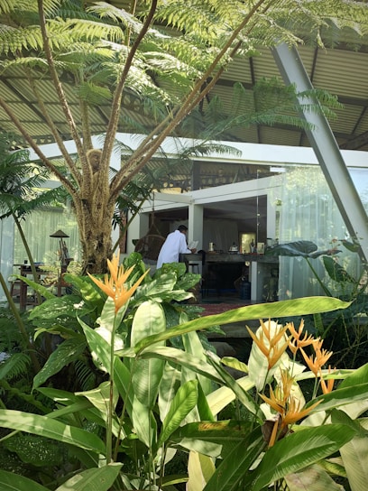 A vibrant green and dandelion-themed digital interface showcasing integrated quarantine management in Papua Tengah.