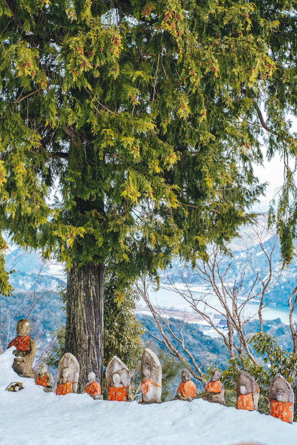 a group of carved pumpkins sitting in the snow under a tree