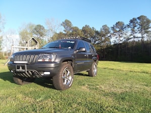 A dark-colored SUV is parked on a grassy field, surrounded by trees in the background under a clear blue sky. The vehicle is equipped with rugged tires and has a license plate with distinctive text. Sunlight creates a contrasting effect on the car's surface, highlighting its features.