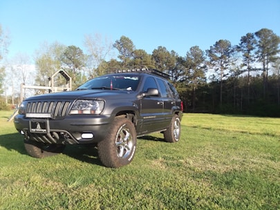A dark-colored SUV is parked on a grassy field, surrounded by trees in the background under a clear blue sky. The vehicle is equipped with rugged tires and has a license plate with distinctive text. Sunlight creates a contrasting effect on the car's surface, highlighting its features.