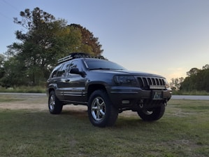 A dark gray SUV is parked on a grassy area with a tree-lined background and a clear sky. The vehicle is equipped with off-road tires, chrome rims, and a roof rack with additional lighting.