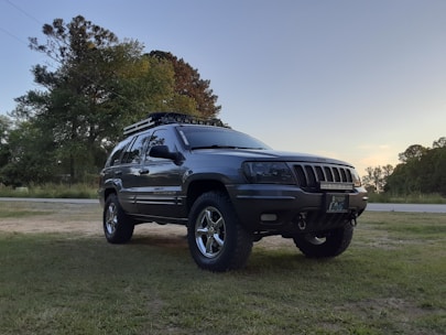 A dark gray SUV is parked on a grassy area with a tree-lined background and a clear sky. The vehicle is equipped with off-road tires, chrome rims, and a roof rack with additional lighting.