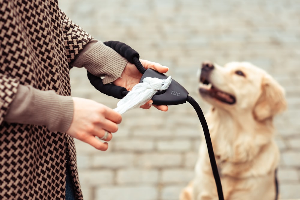 a person is holding a device in front of a dog