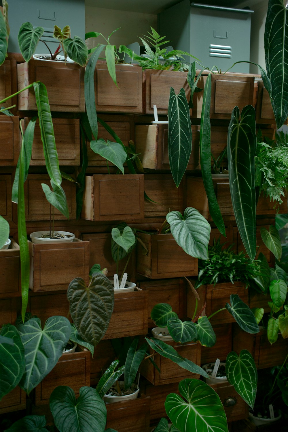 a room filled with lots of different types of plants