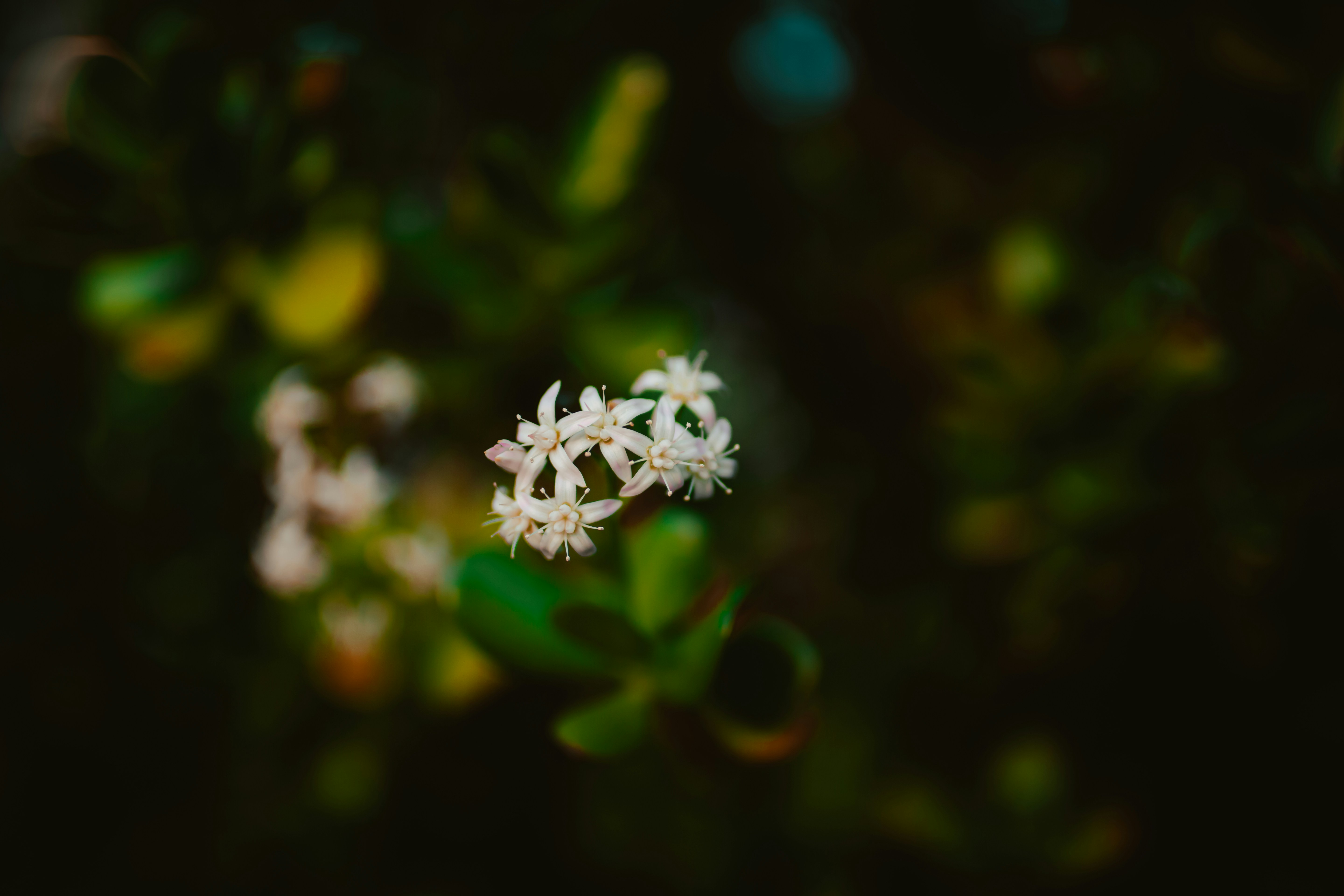 Photo by hoangmainguyen