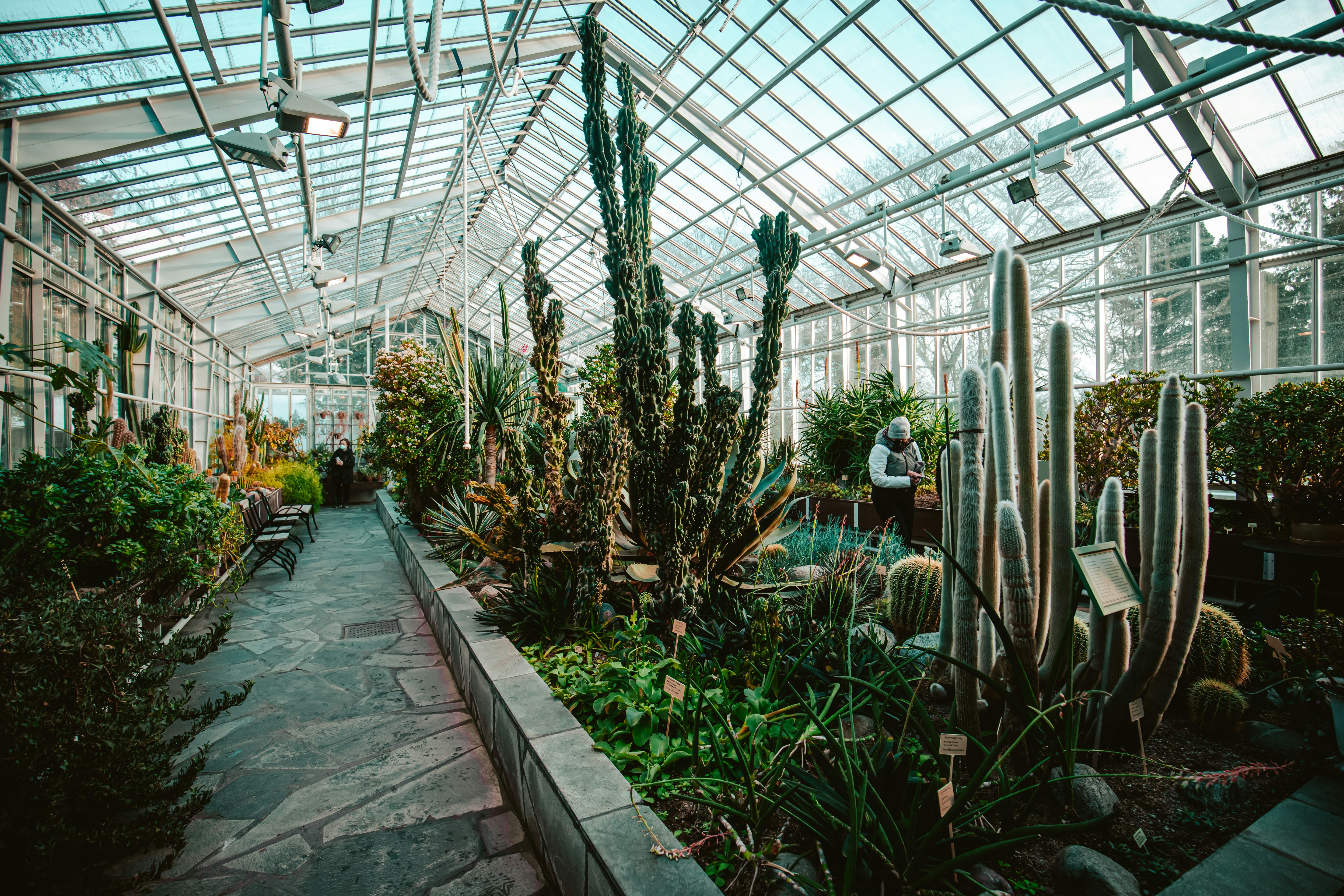 Photo by hoangmainguyen