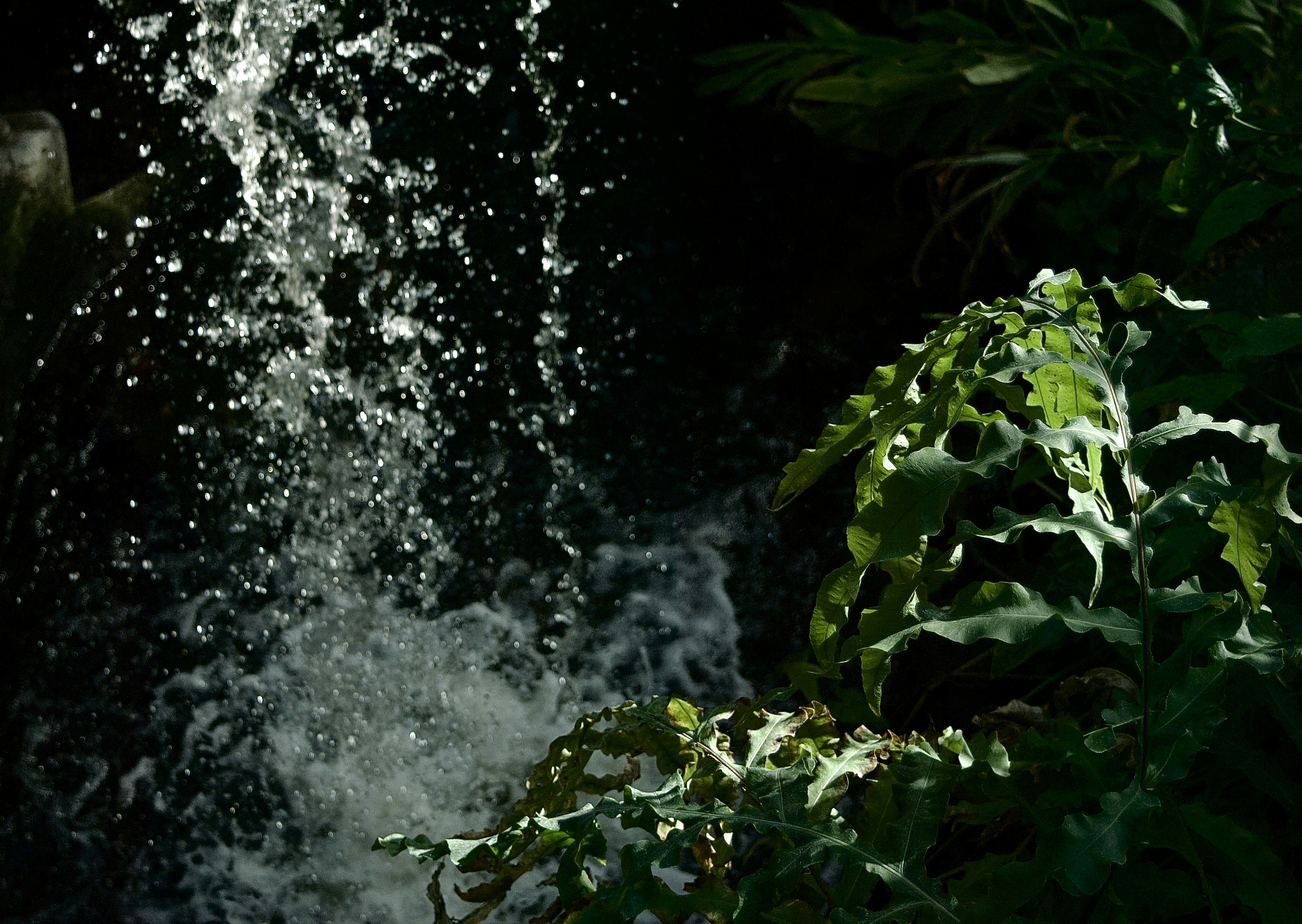 Photo by beatthebizz