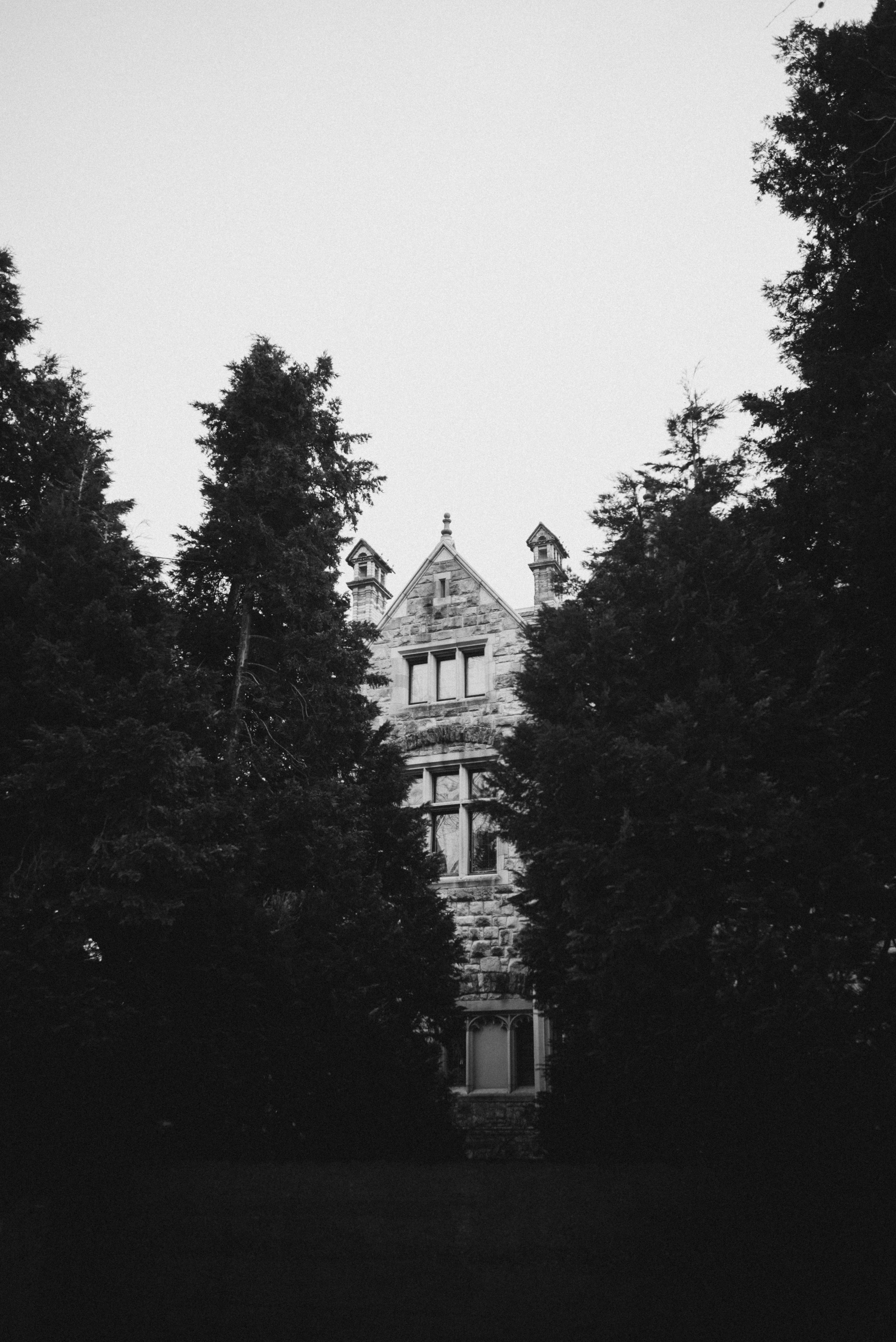 Photo by lzvwsk