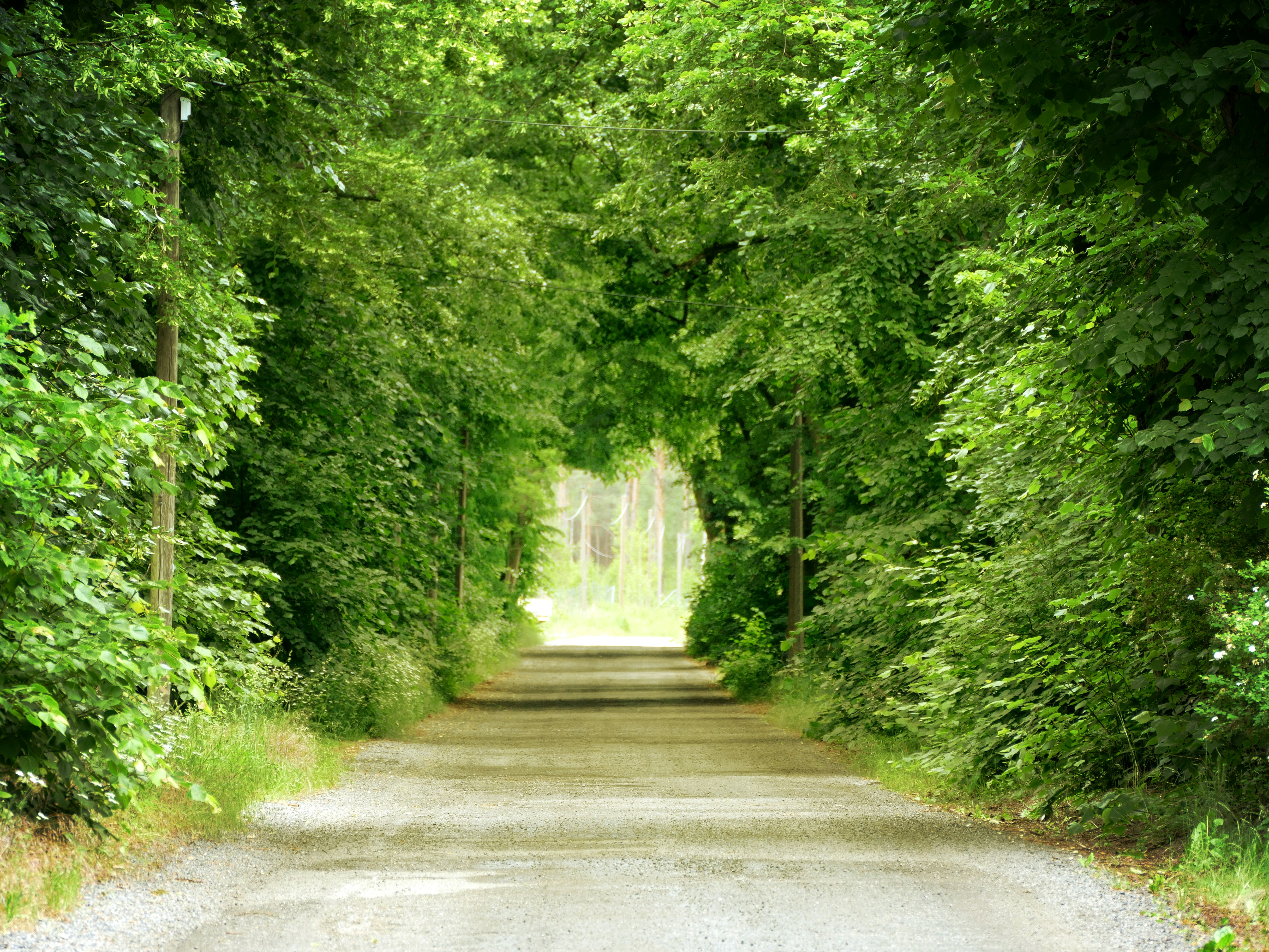 Photo by kuriositante