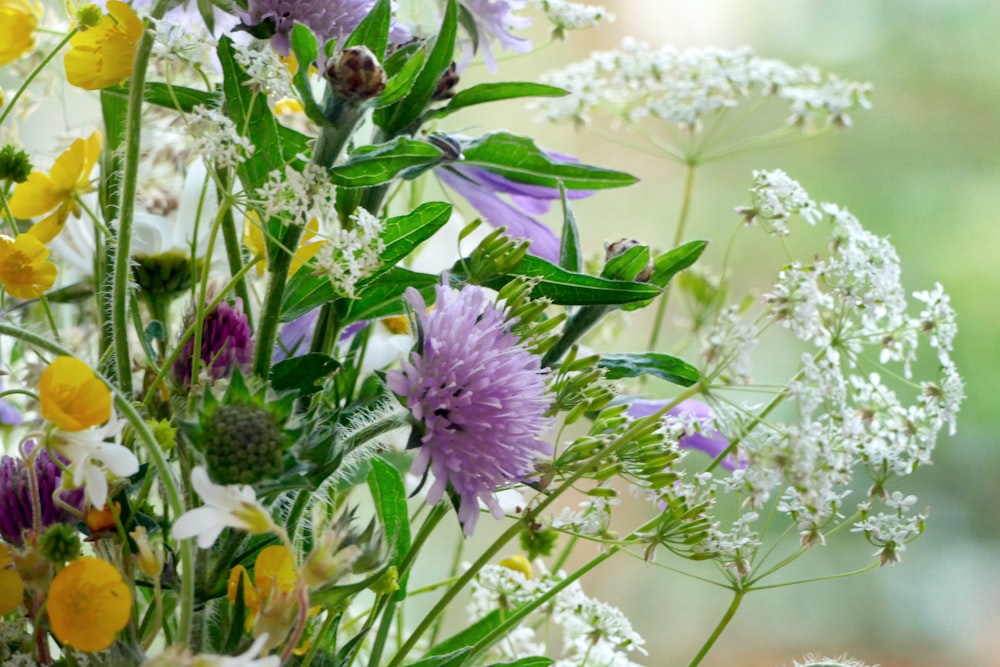 un vaso pieno di molti tipi diversi di fiori
