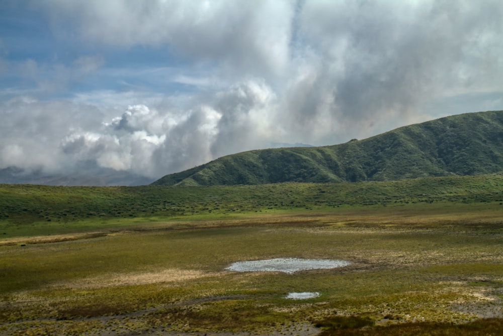 a field with a mountain in the background