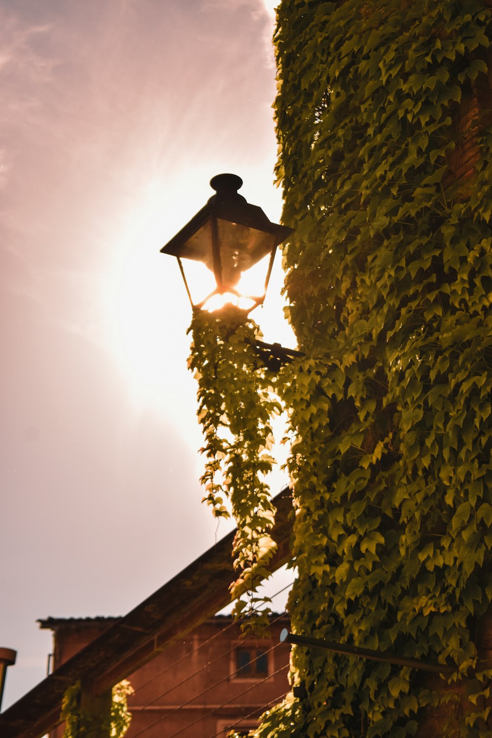 a street light is surrounded by green vines