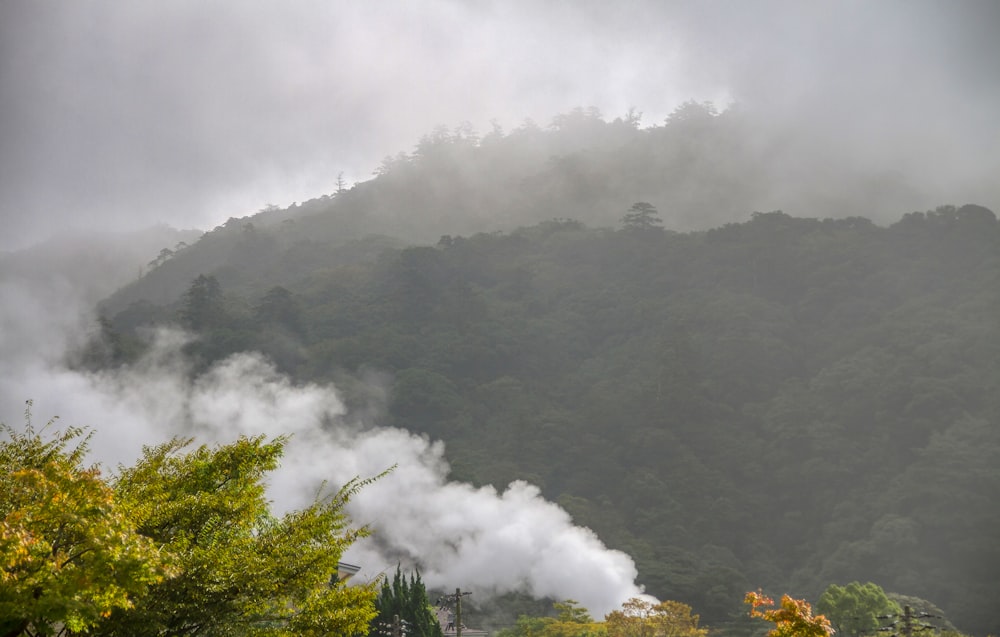 steam rises from a mountain near a forest