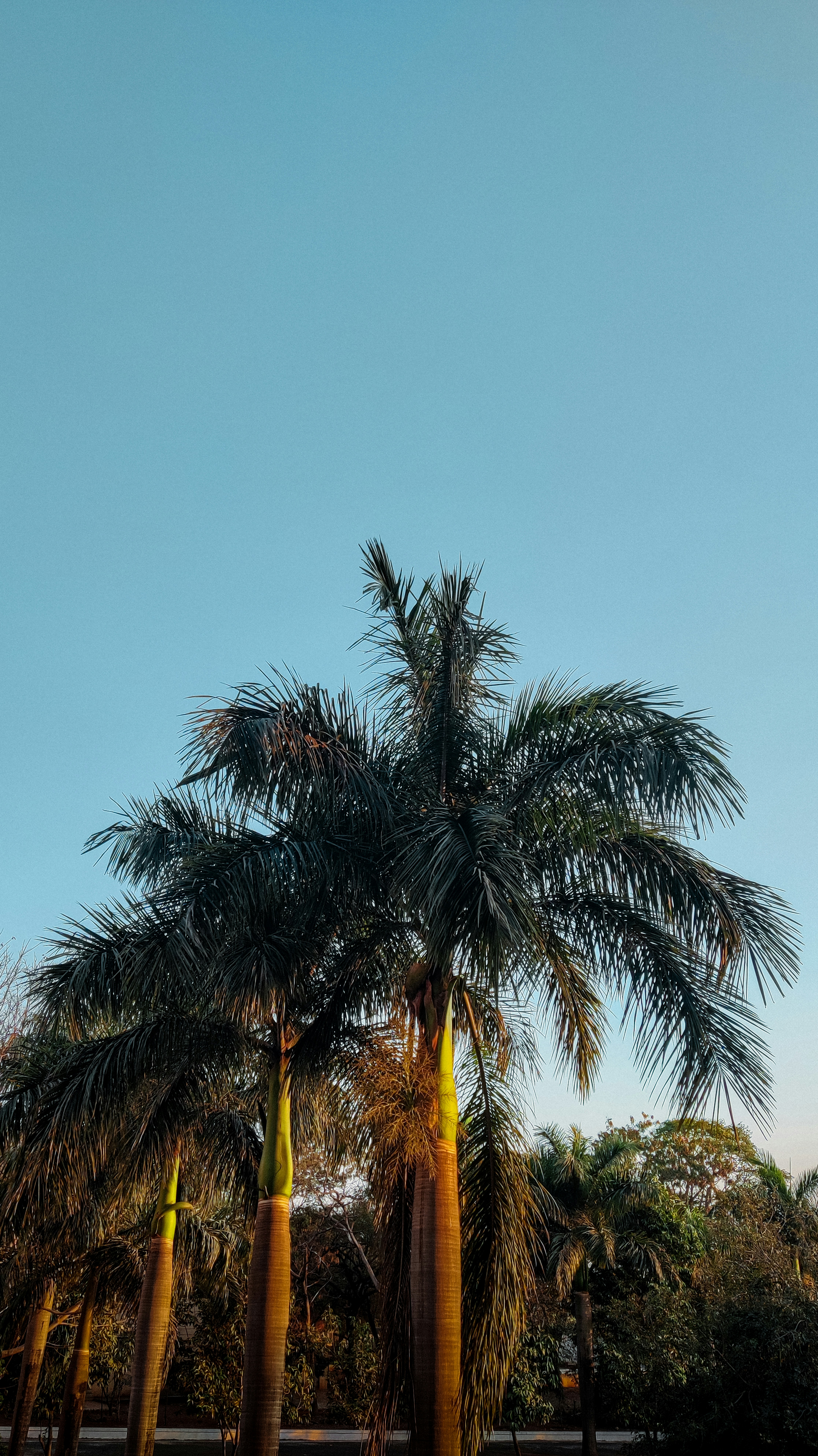 Photo by medicoinfocus