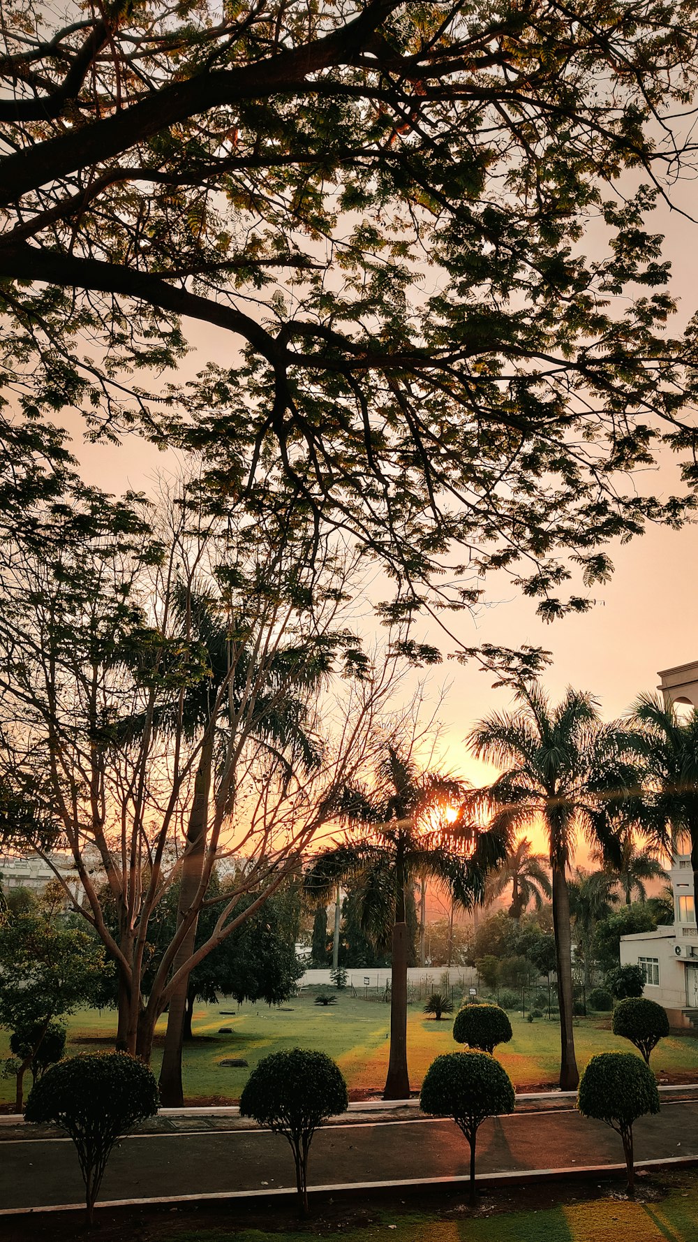 the sun is setting behind some trees in a park