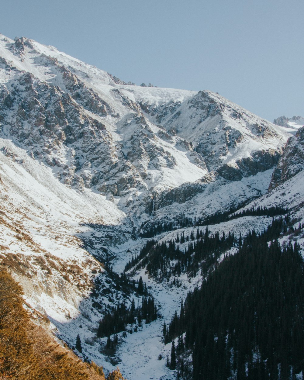 a snow covered mountain with trees in the foreground