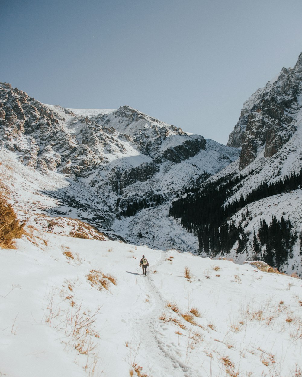 a man riding skis down a snow covered slope