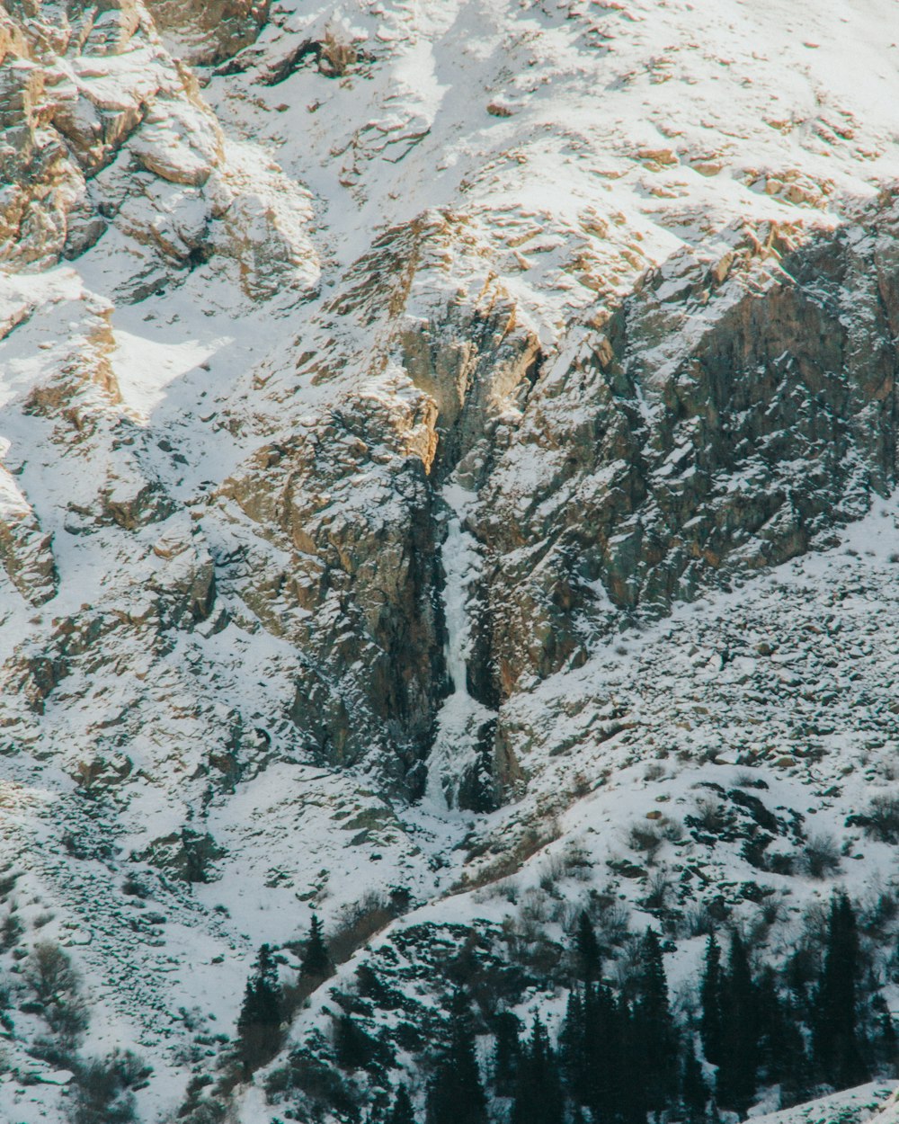 a snow covered mountain with trees on the side