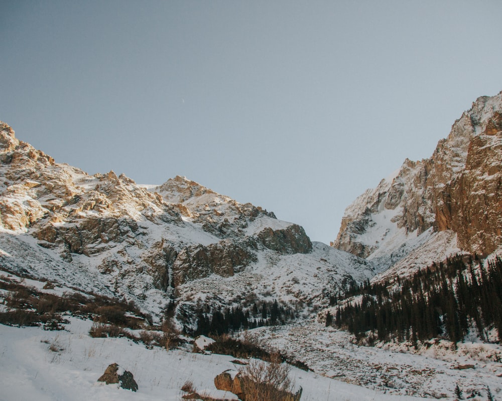 a mountain covered in snow with a few trees