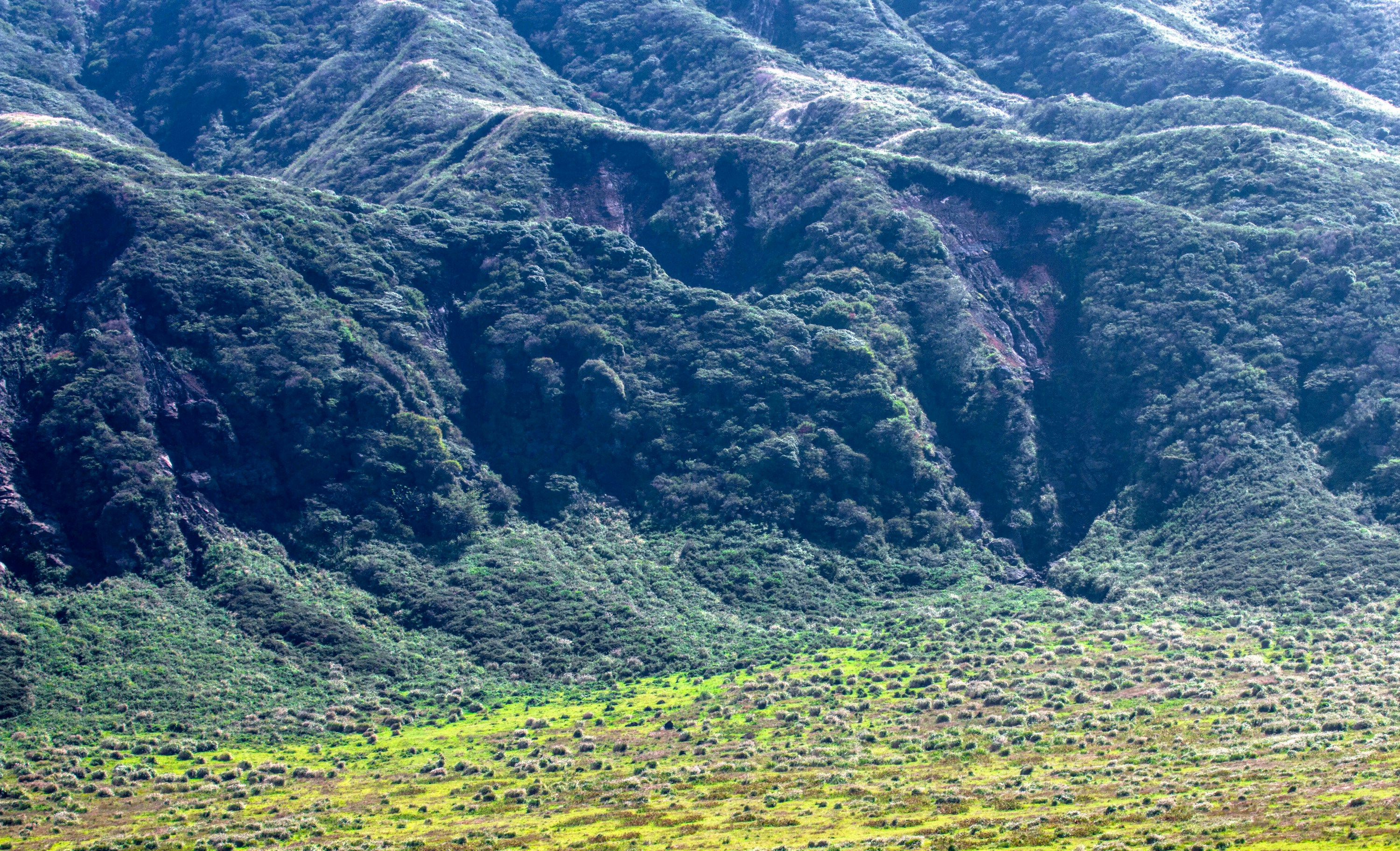 Lush green Uganda landscape with rolling hills and rich vegetation, Pearl of Africa scenic beauty