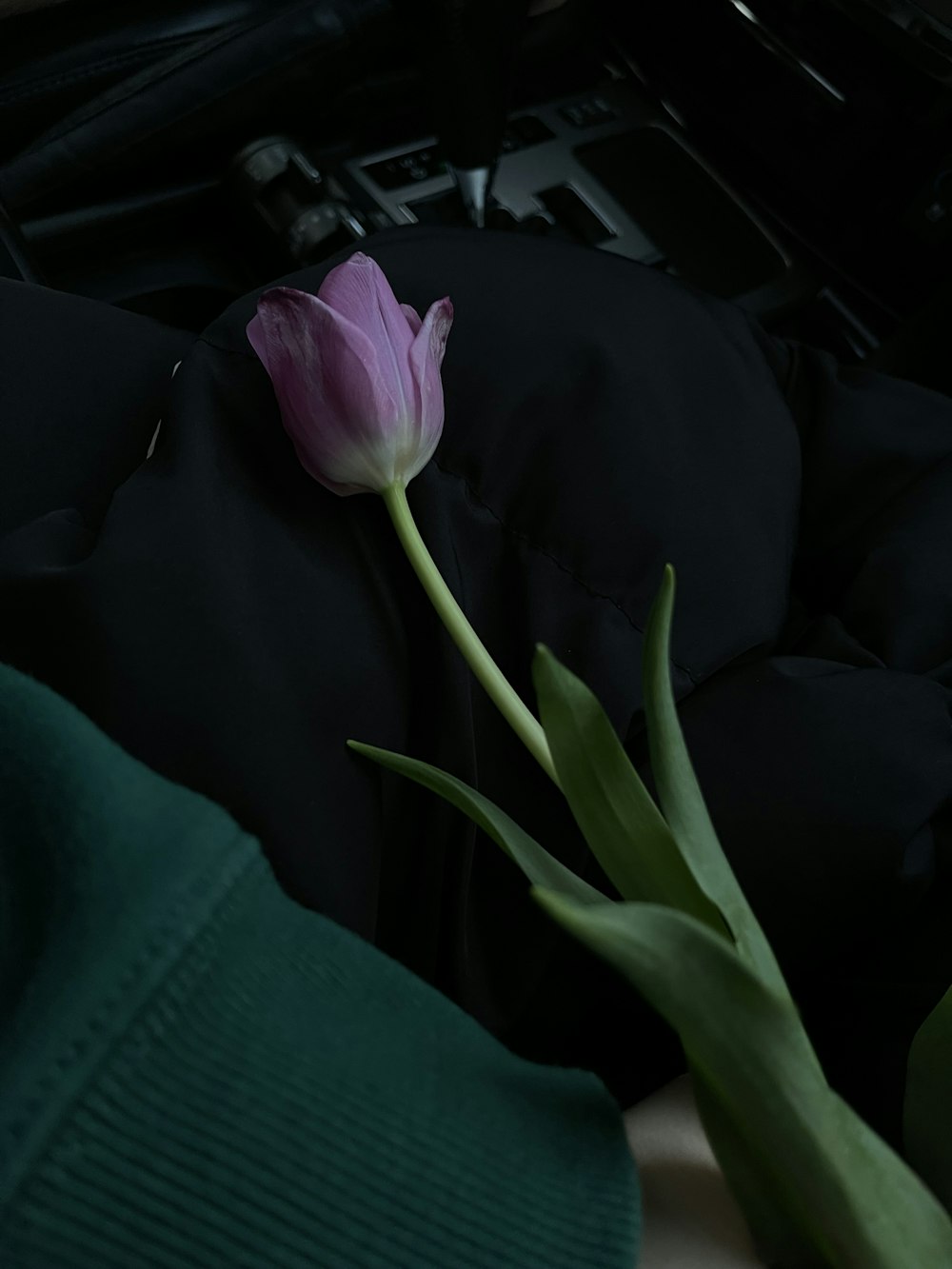 a single pink flower sitting on top of a black jacket