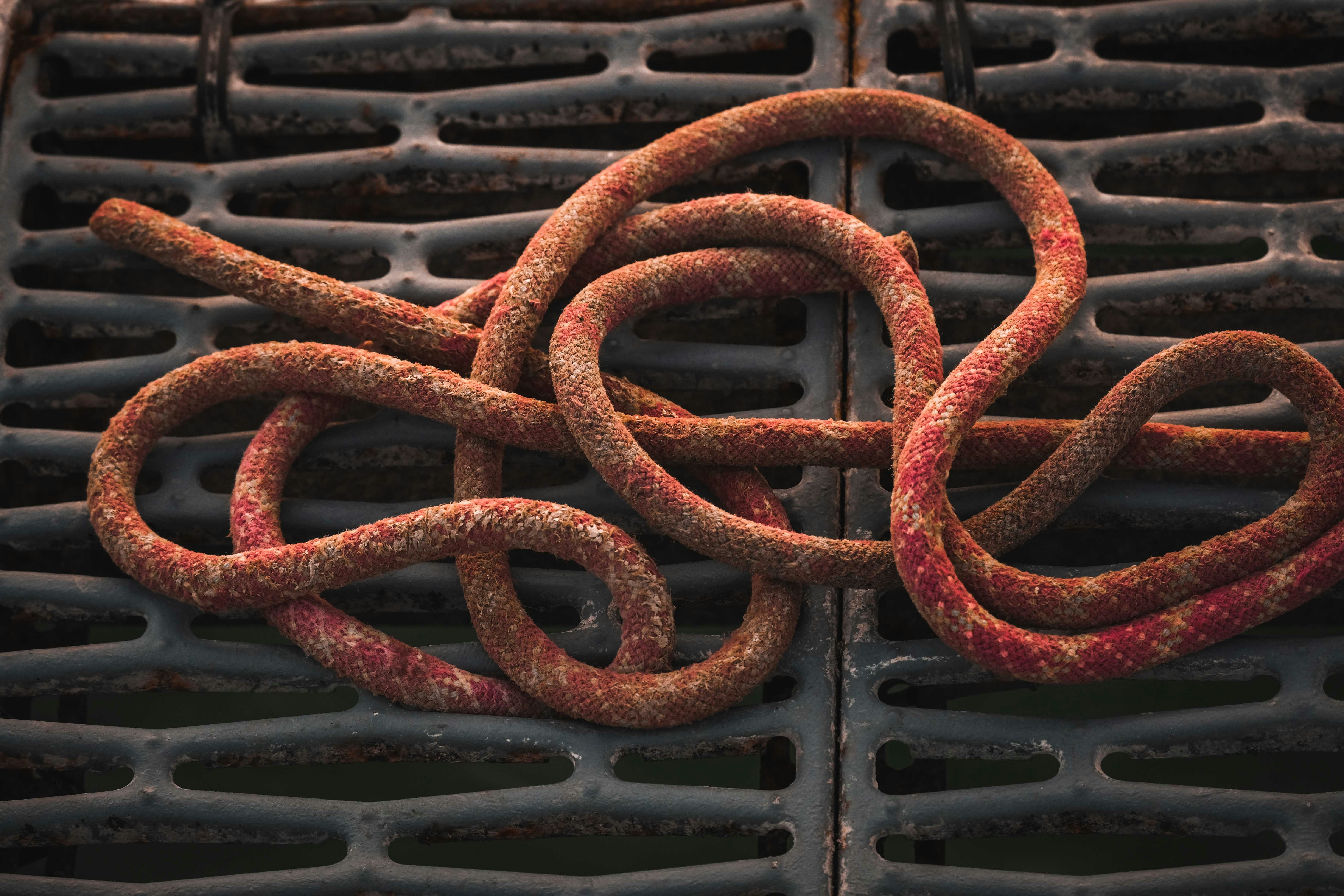 Straußenfleischprodukte – Salami und Knacker