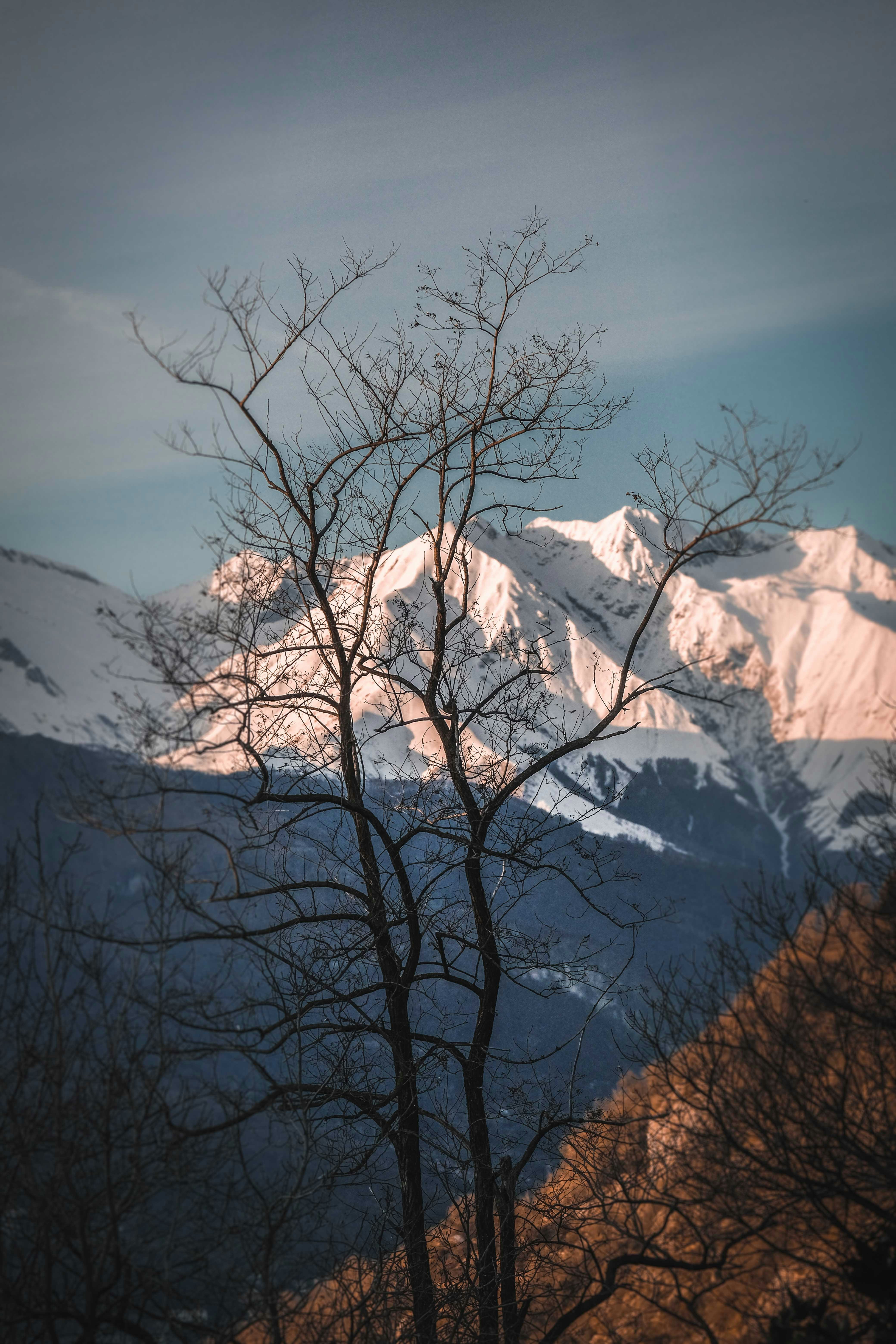 Photo by francesco_ungaro