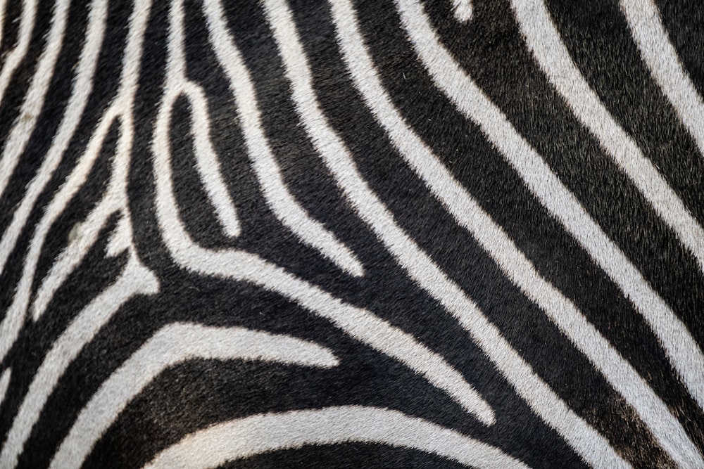a close up of a zebra's black and white stripes