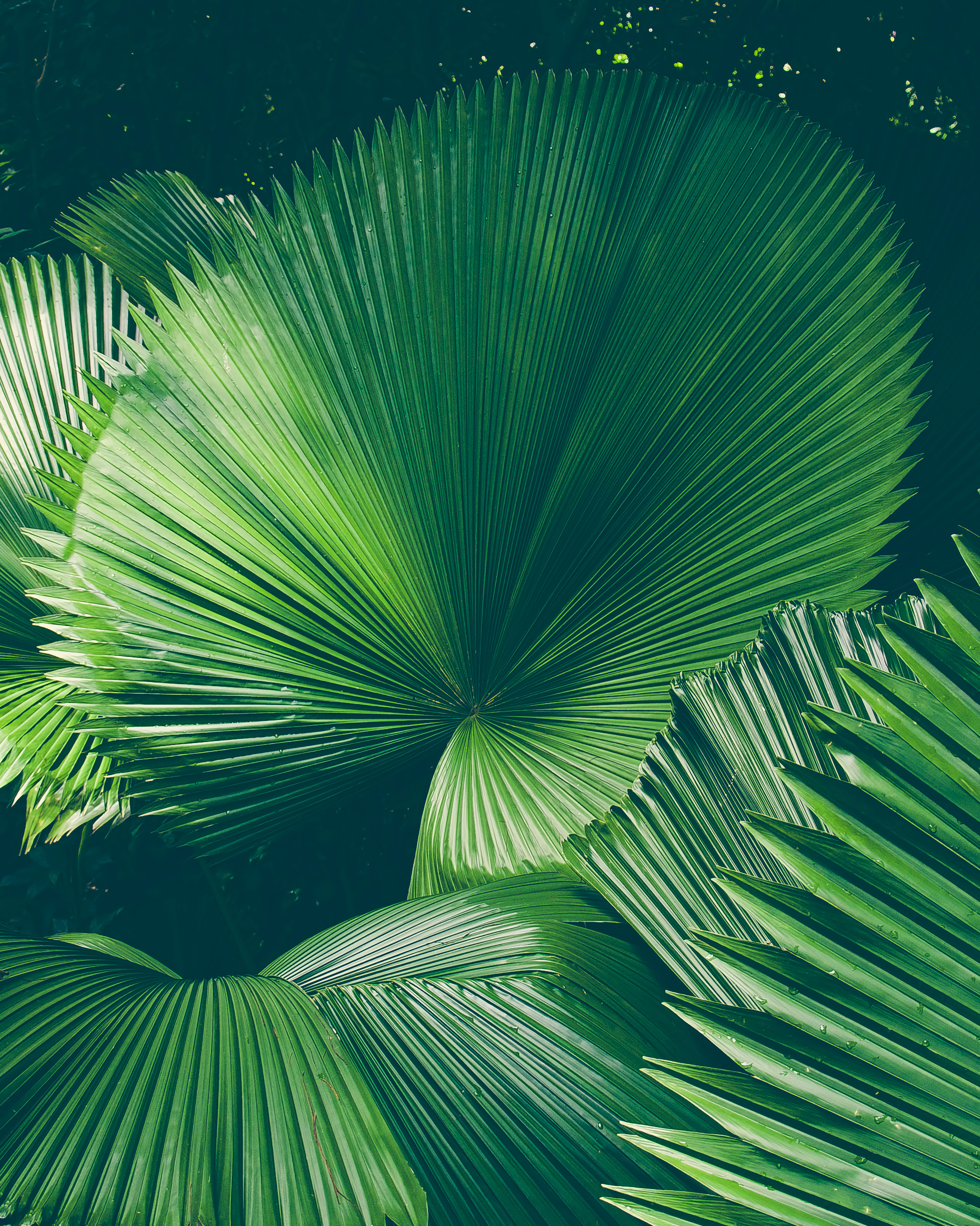 Photo by sinusfiction