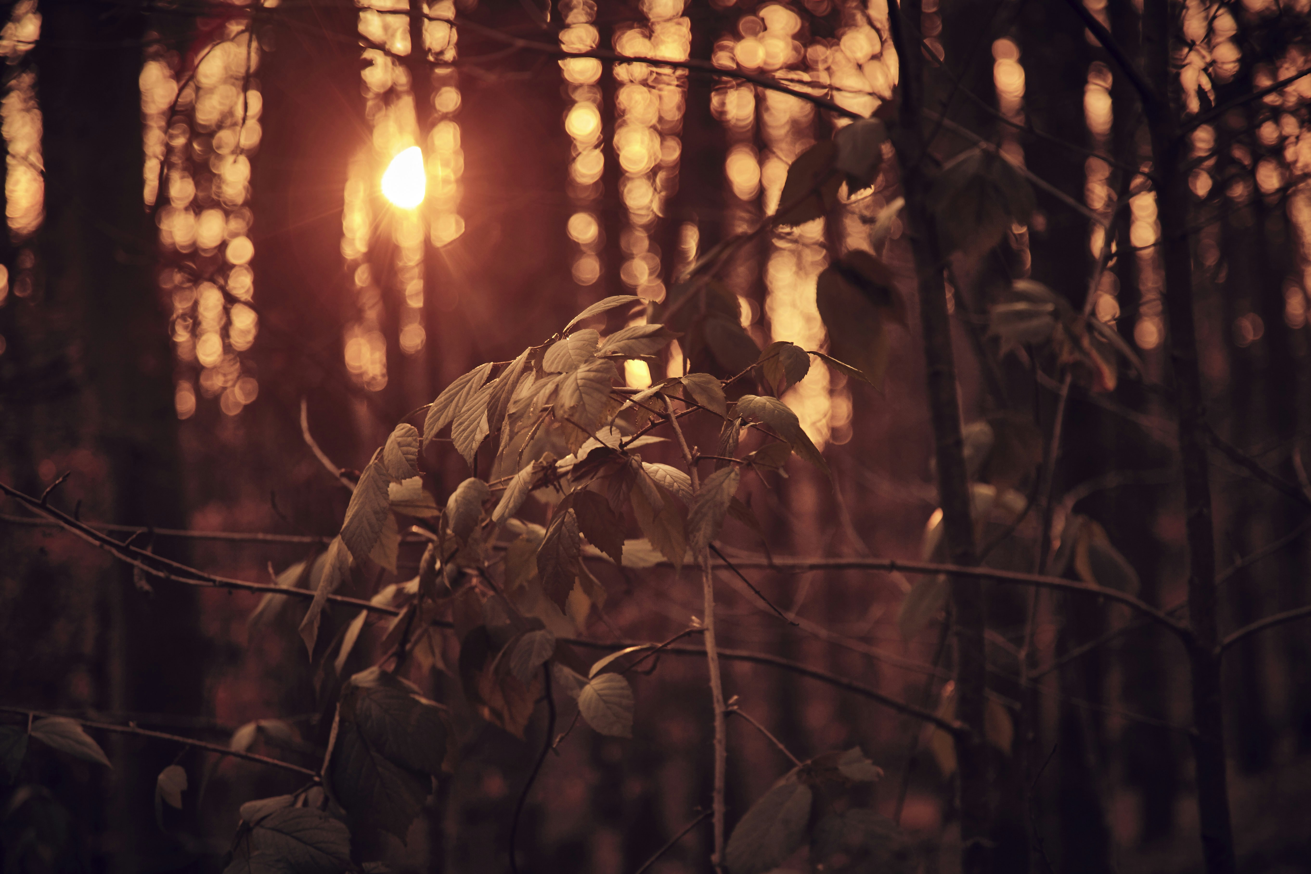 Photo by quadratmedia