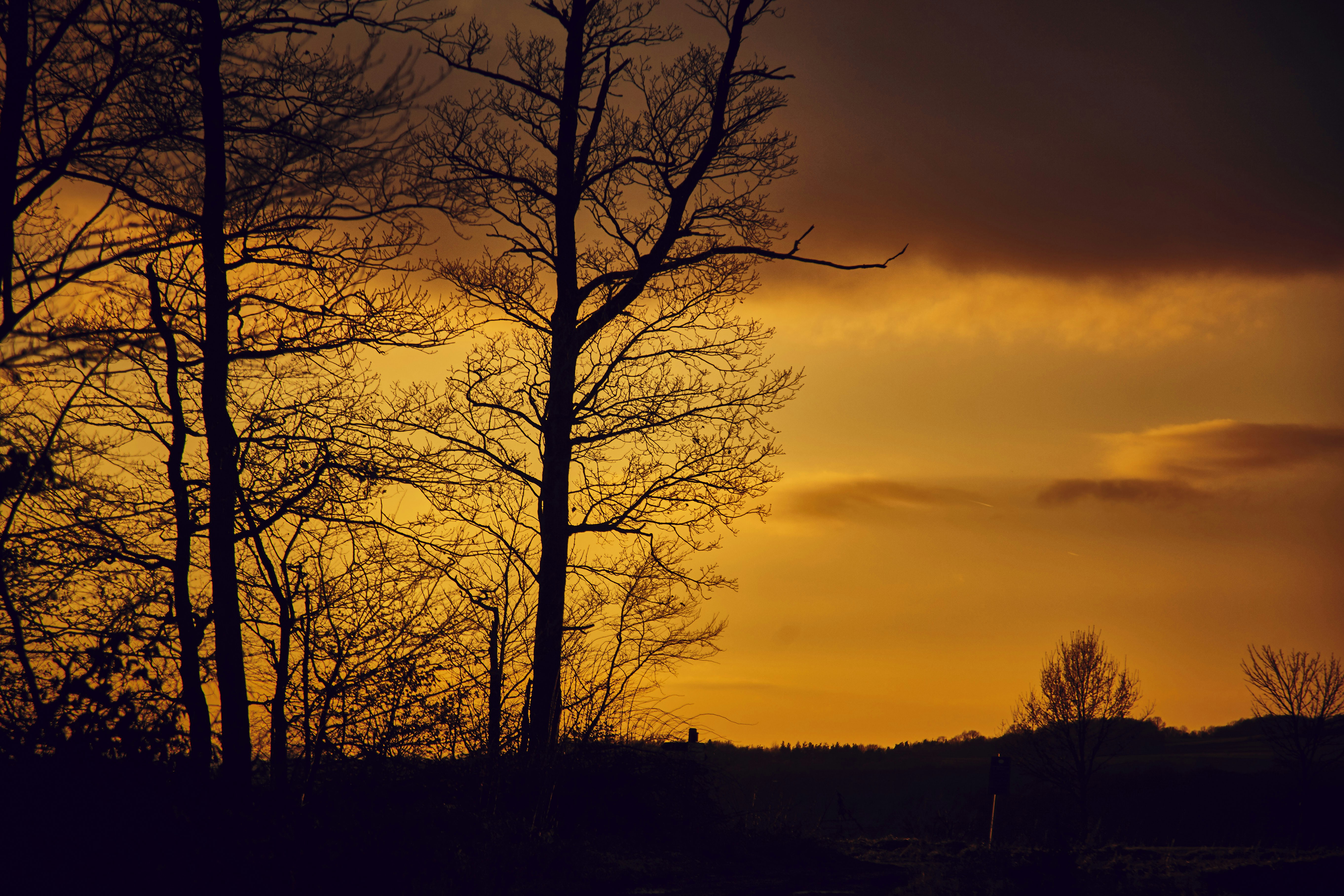 Photo by quadratmedia