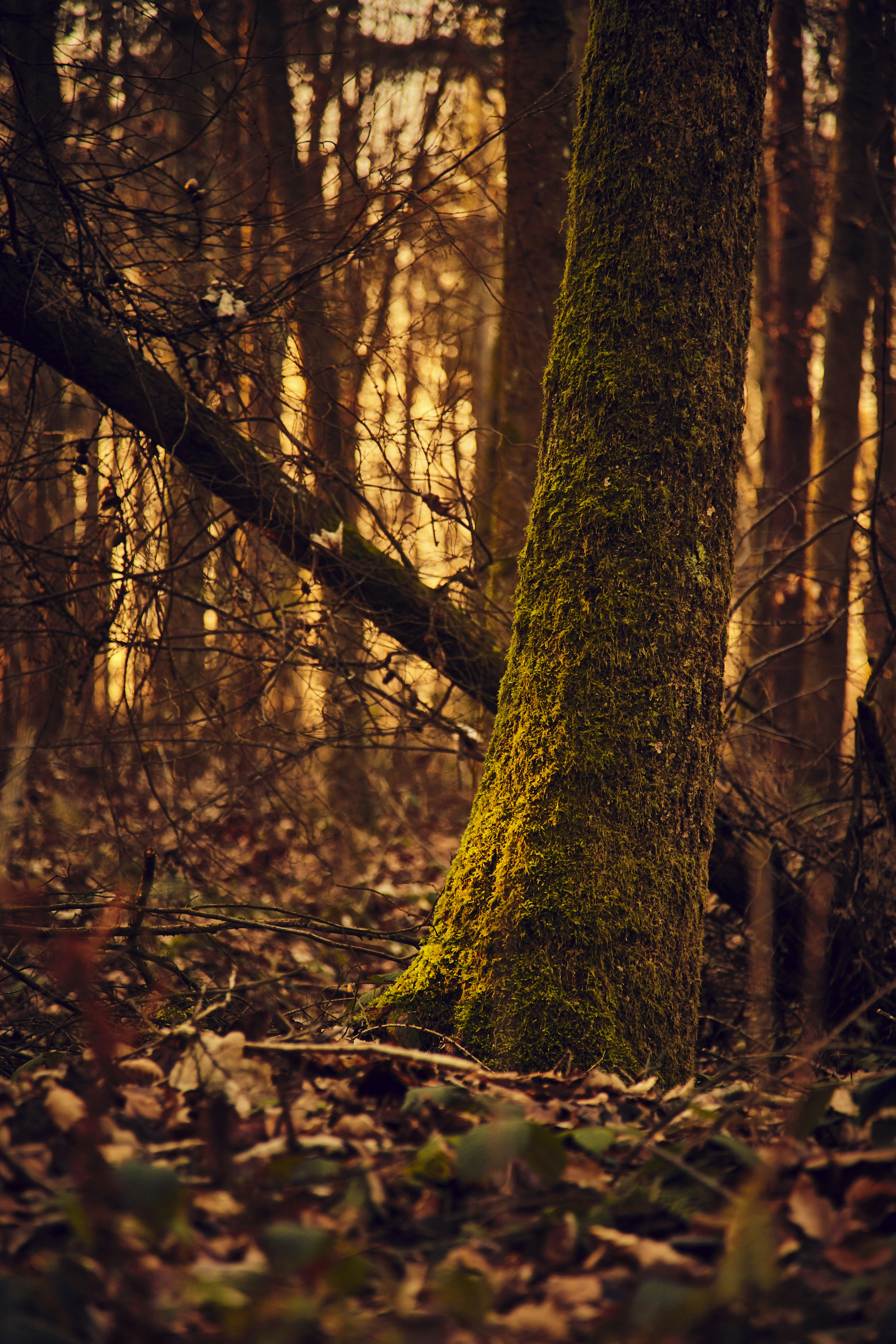 Photo by quadratmedia