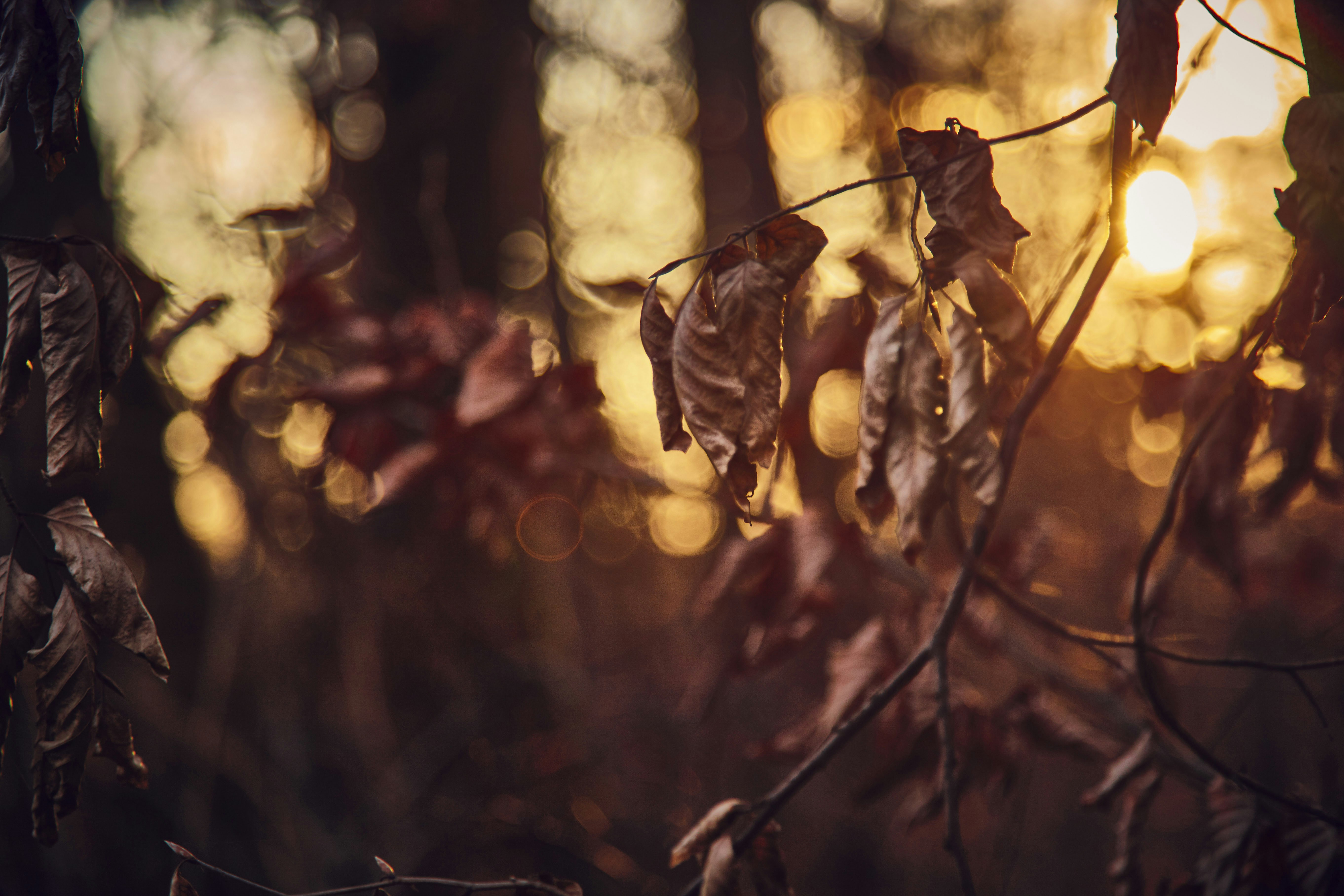 Photo by quadratmedia